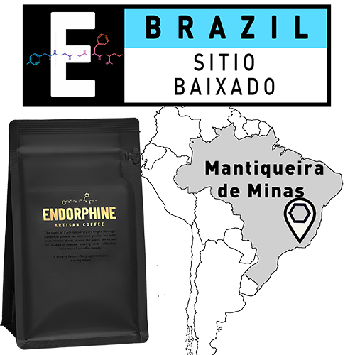 Endorphine Coffee - Brazil - Sitio Baixado
