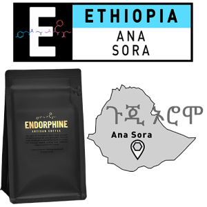 Endorphine Coffee - Ethiopia - Ana Sora